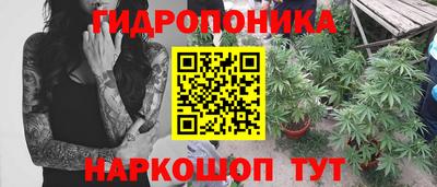 стафф Владивосток