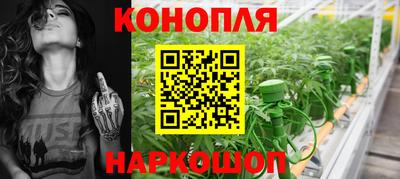 стафф Владивосток