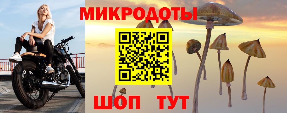 закладки  Вход с VPN  Псилоцибиновые грибы мухоморы  Белово  Галлюциногенные грибы Cubensis 